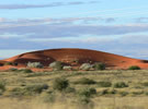 Le Bonheur Manor Upington Accommodation